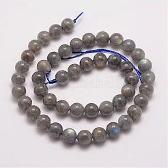 天然石ラブラドライトビーズ連売り  ラウンド  8mm  穴：1mm  約47個/連  15.5インチ&nbsp;G-P259-03-8mm