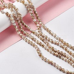 ドローベンチ スタイルの天然淡水シェル ビーズ 連売り  ABカラーメッキ  ラウンド  カラフル  6mm  穴：1mm  約65個/連  15.16インチ（38.5cm）&nbsp;SHEL-F003-10B