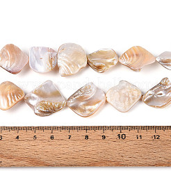 天然淡水シェルビーズ連売り  ナゲット  貝殻色  14.5~24x12~23x3~10mm  穴：0.5~0.6mm  約19~21個/連  14.96~15.24''（38~38.7センチメートル）&nbsp;BSHE-T014-39
