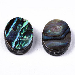 天然アワビシェル/パウアシェルビーズ  オーバル  カラフル  14.5x10.5x3.5mm  穴：1mm&nbsp;SSHEL-T014-09