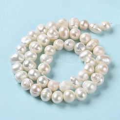 天然養殖淡水パールビーズ連売り  ポテト  グレードAB +  パパイヤホイップ  6~7x7~8mm  穴：0.6mm  約47個/連  12.99インチ（33cm）&nbsp;PEAR-E018-53