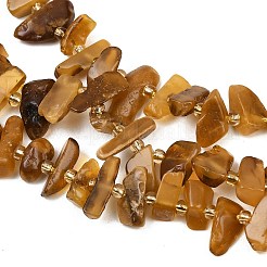 天然琥珀ビーズ連売り  ナゲット  シードビーズで  5~8x7~18x3~6mm  穴：0.8mm  約46~58個/連  15.55''~15.75''（39.5~40センチメートル）&nbsp;G-P619-A02-01