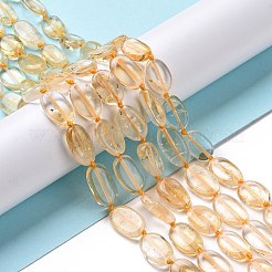 加熱された天然シトリンビーズ連売り  オーバル  12~14x8~9x3.5mm  穴：1mm  約28個/連  16.14''（41センチメートル）&nbsp;G-P478-02