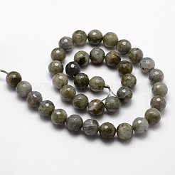 天然石ラブラドライトビーズ連売り  多面カット  ラウンド  ダークカーキ  10mm  穴：1mm  約37個/連  14.9インチ〜15.1インチ&nbsp;G-G736-04-10mm