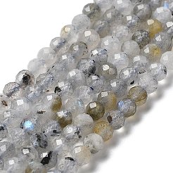 天然石ラブラドライトビーズ連売り  多面カット  ラウンド  3mm  穴：0.6mm  約125個/連  15.35''（39センチメートル）&nbsp;G-I341-11