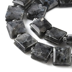 天然石ラブラドライトビーズ連売り  正方形  10.5~11x10~11x5~6mm  穴：0.9~1mm  約32~34個/連  15.39~15.63''（39.1~39.7センチメートル）&nbsp;G-F802-B03-01