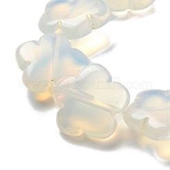 オパールビーズ連売り  花  20x20x6mm  穴：1.4mm  約20個/連  14.57~14.96インチ（37~38cm）&nbsp;G-F769-E01-02