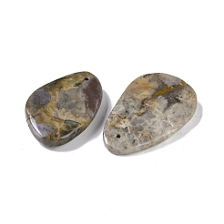 天然化石ペンダント  46~53x31~48x8mm  穴：2.1mm&nbsp;G-Q164-16