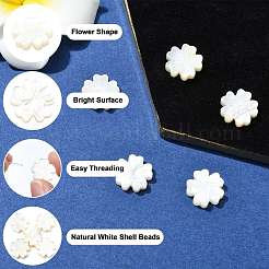ナチュラルホワイトシェルビーズ5個。  シーシェルビーズ  花  ホワイト  11.5x12x3mm  穴：0.9mm&nbsp;BSHE-CJ0001-11