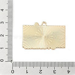 スポーツ合金エナメルペンダント  ゴールドカラー  サッカー  21.5x31x1.5mm  穴：2mm&nbsp;ENAM-I074-01G-06