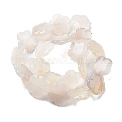 天然ホワイトアゲート瑪瑙ビーズ連売り  花  20x20x6mm  穴：1.2mm  約20個/連  14.57~14.96インチ（37~38cm）&nbsp;G-F769-G01-02