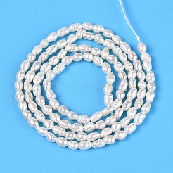 天然養殖淡水パールビーズ連売り  ライス  乳白色  3~4x2~2.5mm  穴：0.3~0.4mm  約110~113個/連  13.98~14.17''（35.5~36センチメートル）&nbsp;PEAR-T006-30