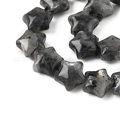 天然ラルビカイトスタービーズ連売り  7.5x8x4.5mm  穴：0.8mm  約54~56個/連  15.12''~15.20''（38.4~38.6センチメートル）&nbsp;G-Z080-A03