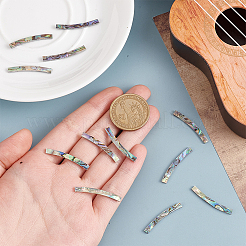 アワビ貝のギターのサウンドホールリングマウスホイール  音響装飾アクセサリー用  ゲインボロ  5x30x1.5mm  12個/セット&nbsp;DIY-WH0048-19