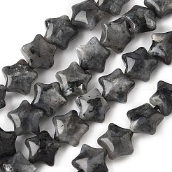 天然ラルビカイトスタービーズ連売り  7.5x8x4.5mm  穴：0.8mm  約54~56個/連  15.12''~15.20''（38.4~38.6センチメートル）&nbsp;G-Z080-A03