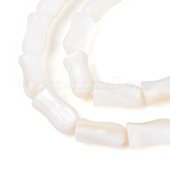 天然淡水シェルビーズ連売り  花瓶  貝殻色  9~10x4.5~5.5mm  穴：0.7mm  約40~41個/連  14.76~15.35インチ（37.5~39cm）&nbsp;SHEL-N038-03