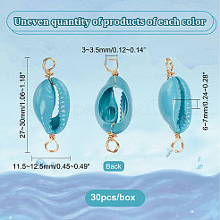 天然タカラガイの貝殻コネクターチャーム30個  18KGP本金メッキ緑銅線製  染め  シェル形状  ミックスカラー  27~30x11.5~12.5x6~7mm  穴：3~3.5mm&nbsp;FIND-PH0007-95