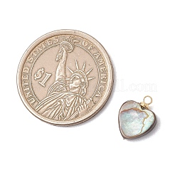天然パウアシェルチャーム  真鍮のペグベイル付き  ゴールドカラー  カラフル  ハート  13x10x3mm  穴：1.6mm&nbsp;PALLOY-JF05129-03