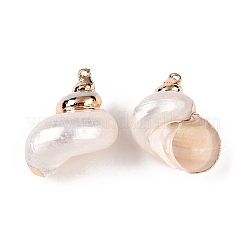 天然石海シェルペンダント  金色の鉄製ループが付いた貝殻型のチャーム  ホワイト  29~36x23~31x19~27mm  穴：1~1.8mm&nbsp;LS-SSHEL-N038-54