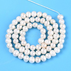 天然養殖淡水パールビーズ連売り  ポテト  乳白色  5~6.5x5~6mm  穴：0.6mm  約69~73個/連  14.17~14.57''（36~37センチメートル）&nbsp;PEAR-N013-05N