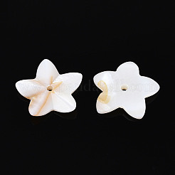 天然淡水シェルビーズ  花  貝殻色  16.5x16.5x3mm  穴：1.5mm&nbsp;BSHE-T014-14