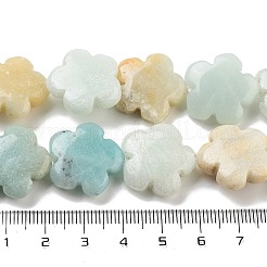 天然フラワーアマゾナイトビーズ連売り  花  20x20x6mm  穴：1.4mm  約20個/連  14.57~14.96インチ（37~38cm）&nbsp;G-F769-F01-02