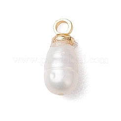 天然養殖淡水真珠ライスチャーム  真鍮のベイルと  ゴールドカラー  乳白色  8~10.5x4~4.5mm  穴：1.6mm&nbsp;PALLOY-JF04868