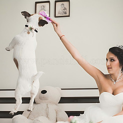 プラスチックの人工葉とベルベットの犬用リングベアラー  合金留め金付き結婚指輪枕  古いレース  190x80mm&nbsp;HJEW-DR00077