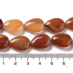天然石赤瑪瑙ビーズ連売り  フラットティアドロップ  17.5~18x13~13.5x6mm  穴：1.2~1.4mm  約11個/連  7.56''（19.2センチメートル）&nbsp;G-P528-L10-01
