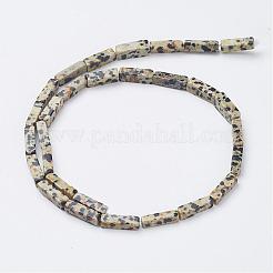 天然石ダルメシアンジャスパービーズ連売り  直方体の  13~13.5x3~5x3~5mm  穴：0.5mm  約29~31個/連  15.3~15.7インチ（390~400mm）&nbsp;G-G968-D10