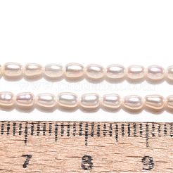 天然養殖淡水パールビーズ連売り  ライス  グレード4ab  乳白色  3~4x2~2.5mm  穴：0.5mm  約114~119個/連  15.35インチ（39cm）&nbsp;PEAR-N024-01-4AB