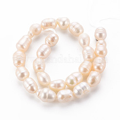 天然養殖淡水パールビーズ連売り  ライス  貝殻色  7~9x6~7mm  穴：0.5mm  約22~23個/連  7.09''（18センチメートル）&nbsp;X1-PEAR-S012-41E