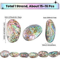 天然アワビ貝/パウア貝ビーズ1連  フラットオーバル  カラフル  24~32x14~19x4mm  約15~16個/連  15.5インチ&nbsp;SSHEL-SC0001-64