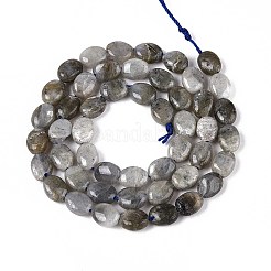 天然石ラブラドライトビーズ連売り  フラットオーバル  8x6x4mm  穴：0.8mm  約48~49個/連  14.88~15.16''（37.8~38.5センチメートル）&nbsp;G-T142-19