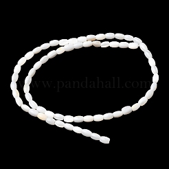 天然淡水シェルビーズ連売り  バレル  ホワイト  5.5~6x3.5~4.5mm  穴：0.5mm  約65個/連  15.04''~15.16''（38.2~38.5センチメートル）&nbsp;SHEL-K006-06