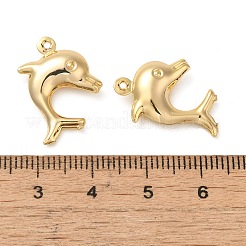真鍮チャーム  18KGP本金メッキ  イルカ  19.5x15x4.5mm  穴：1mm&nbsp;KK-O100-16G-01