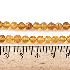 天然琥珀ビーズ連売り  ラウンド  5mm  穴：0.5mm  約71個/連  14.17インチ（36cm）&nbsp;G-L095-B01-5mm-02