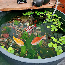 3個 3色磁器魚ディスプレイ装飾  マイクロ風景シーン装飾  ミックスカラー  101.5~109.5x31~37.5x35.5~47.5mm  1pc /カラー&nbsp;DJEW-FH0011-48