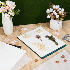 植物綿ダイバー＆スポンジ＆不織布ライナー花押吸水用乾燥プレート  ミックスカラー  400x296x0.3mm&nbsp;DIY-WH0591-299A