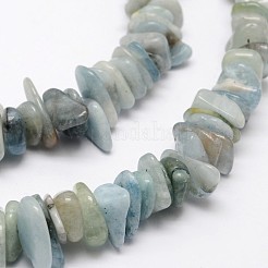 チップの天然アクアマリンビーズ連売り  7~13x2~5mm  穴：1mm  約14.9インチ&nbsp;G-N0164-13
