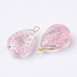 ガラスチャーム  中にドライフラワーあり＆真鍮パーツ  ティアドロップ  ゴールドカラー  ピンク  22~24x13x8mm  穴：2mm&nbsp;GLAA-Q070-005E