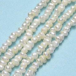天然養殖淡水パールビーズ連売り  ケシパールビーズ  ナゲット  リネン  3~4x3x2~2.5mm  穴：0.5mm  約156~163個/連  14.17~14.29''（36~36.3センチメートル）&nbsp;PEAR-A005-23-01