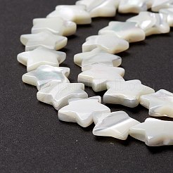 天然トロチッドシェル/トロカスシェルビーズ  スター  貝殻色  12.5x11.5x3.5mm  穴：1mm  約38個/連  15.63インチ（39.7cm）&nbsp;SSHEL-O001-25D-01