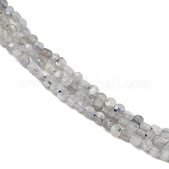 天然石ラブラドライトビーズ連売り  ファセットコインビーズ  フラットラウンド  3x2mm  穴：0.5mm  約163個/連  15.35''（39センチメートル）&nbsp;G-RM2025-A30-2mm