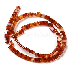 天然石赤瑪瑙ビーズ連売り  2穴  染め  長方形  5.5~6x5x2.5mm  穴：0.9mm  約69~70個/連  15.12~15.2インチ（38.4~38.6cm）&nbsp;G-F762-A15-01