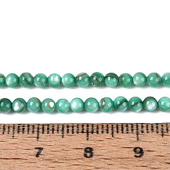 天然淡水シェルビーズ連売り  染め  ラウンド  ライトシーグリーン  2.5mm  穴：0.5mm  約122~136個/連  14.57インチ〜15.63インチ（37cm〜39.7cm）&nbsp;BSHE-T009A-01J