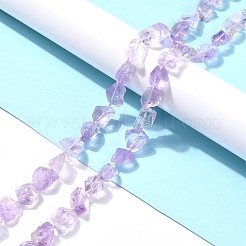 ラフ原石の天然アメジストビーズ連売り  ナゲット  10.5~19.5x8.5~17x8~13mm  穴：1.2mm  約24個/連  15.75''（40センチメートル）&nbsp;G-C069-01