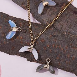 4個4スタイルの混合宝石用原石のペンダント  ゴールデン真鍮パーツ  ダブルホーン/三日月  12x16x4mm  穴：1.5mm  1個/スタイル&nbsp;G-SZ0001-42