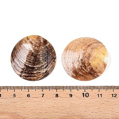 2穴マザーオブパールボタン  あこやシェルボタン  フラットラウンド  ビスク  33x1mm  穴：1.6mm&nbsp;SHEL-T012-43A