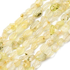 天然ゴールドプレナイトビーズ連売り  ナゲット  タンブルストーン  6.5~10x5~7x4~6.5mm  穴：1mm  約46~53個/連  15.16''~15.75''（38.5~40センチメートル）&nbsp;G-K395-A07-01